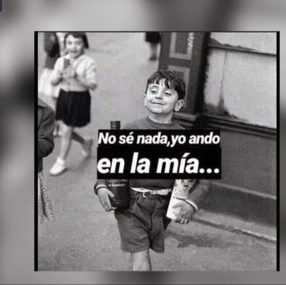 052_elnene